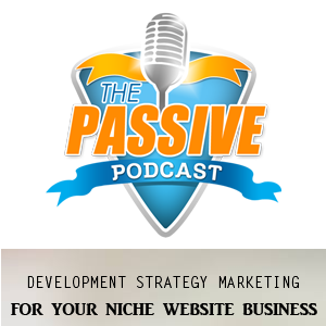 Niche website business lessons